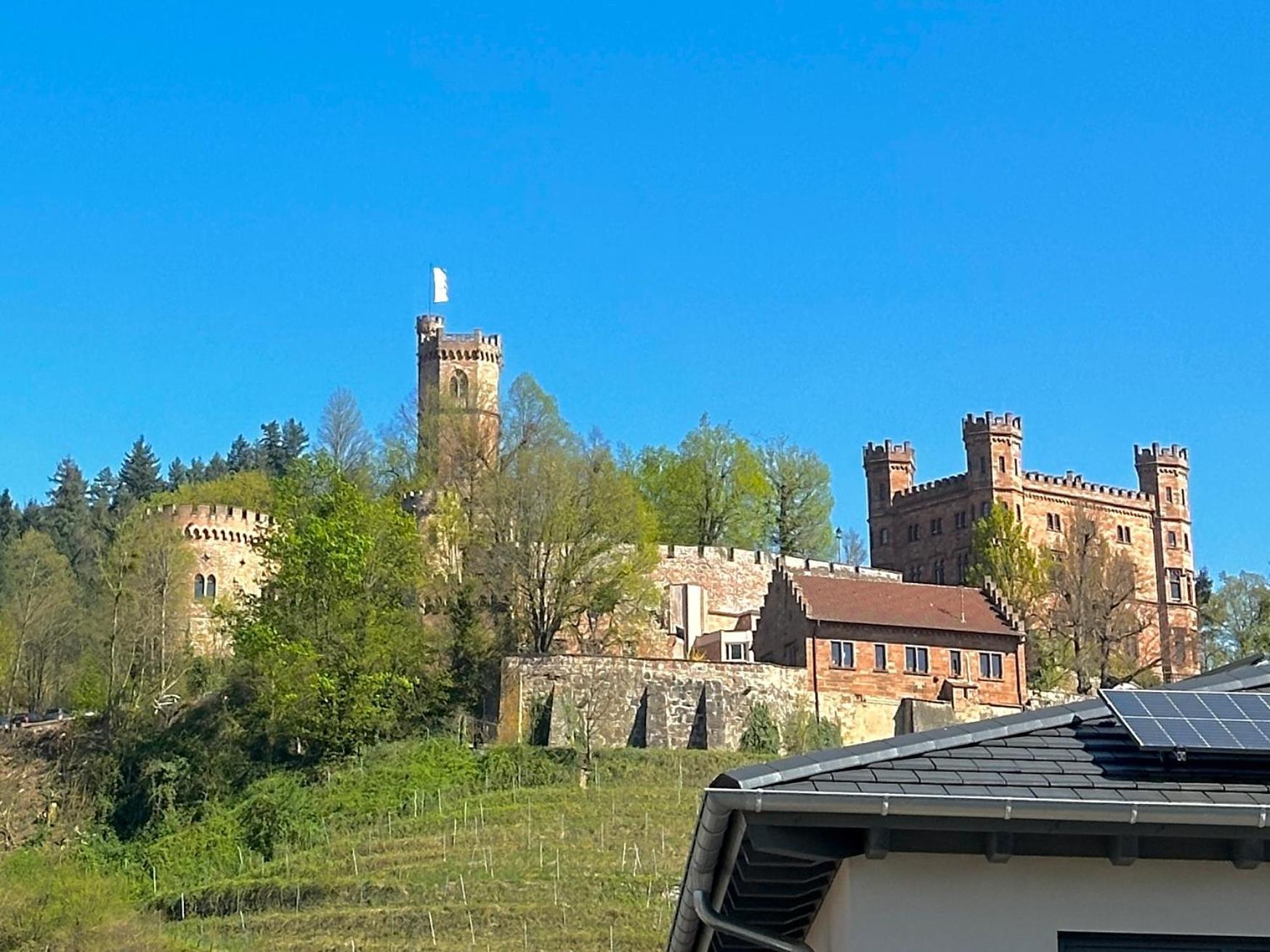 Ferienwohnung Mit Schlossblick Bei Offenburg Ortenberg  Exteriér fotografie